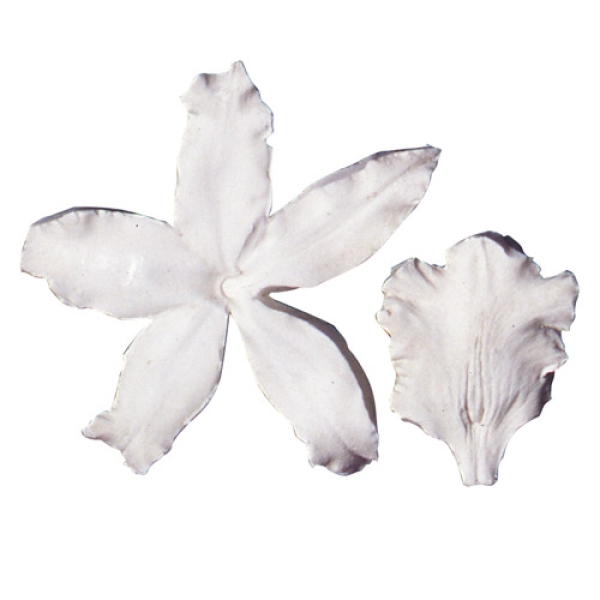 SK Veiner Orchideen Set, 7,5 cm