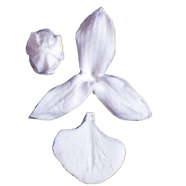 SK Veiner Orchideen Set, breit  8 cm