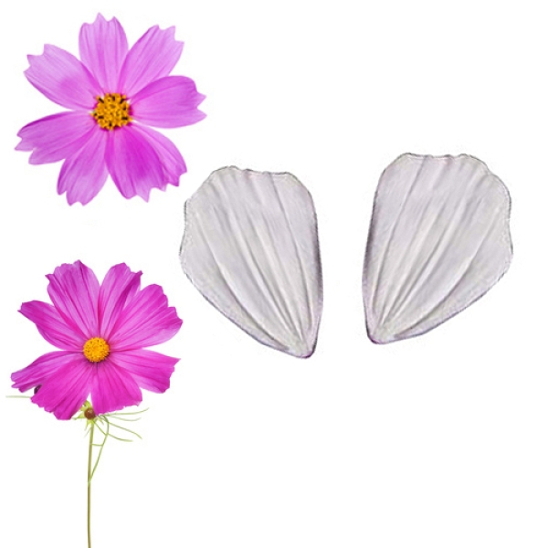 SK Veiner Kosmos Blütenblatt Präger 3,5 cm